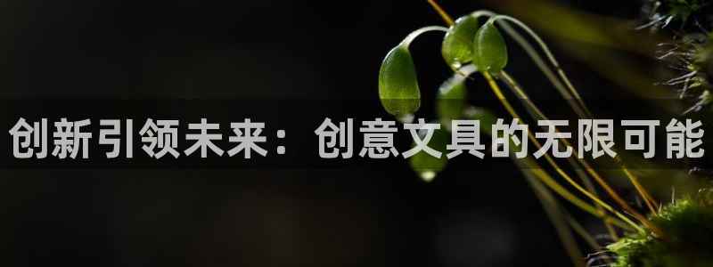 下载龙八国际app：创新引领未来：创意文