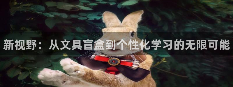 龙八国际怎么注册安卓：新视野：从文具盲盒