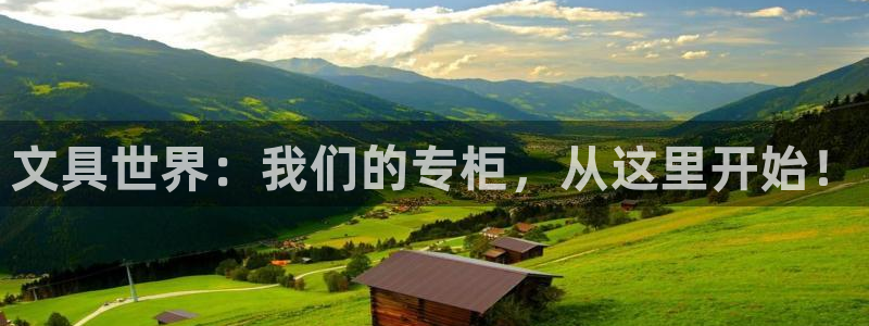 龙八国际手机版下载安装：文具世界：我们的