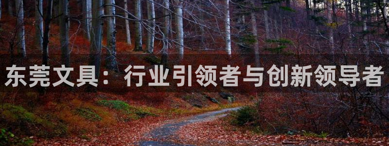 龙八国际娱乐靠谱吗：东莞文具：行业引领者