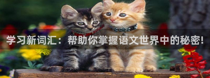 龙八国际官网：学习新词汇：帮助你掌握语文