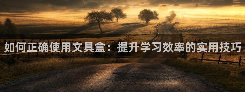 龙八国际是干什么的：如何正确使用文具盒：