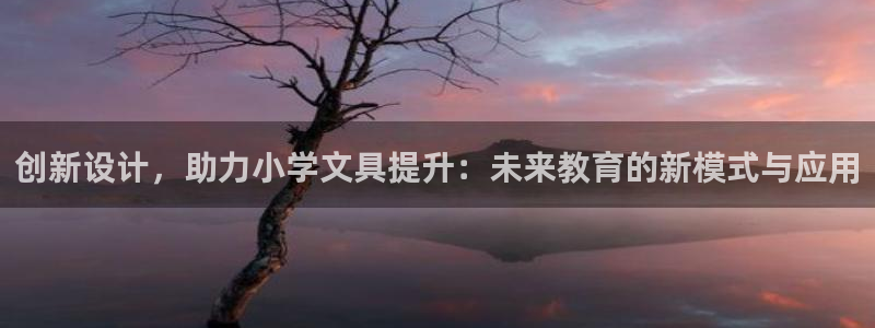 石家庄龙八国际老板是谁：创新设计，助力小