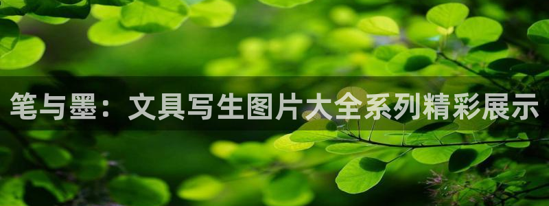 龙八国际pt：笔与墨：文具写生图片大全系