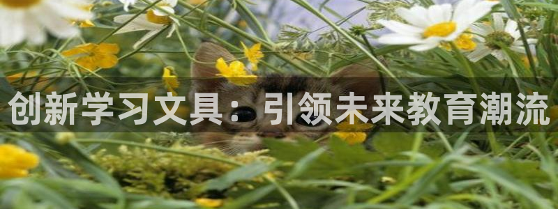 龙八国际Pt老虎机：创新学习文具：引领未