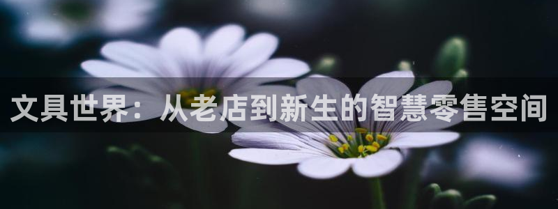 龙八国际网页版本：文具世界：从老店到新生