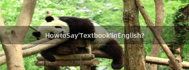 龙八国际APP客户：HowtoSay\'