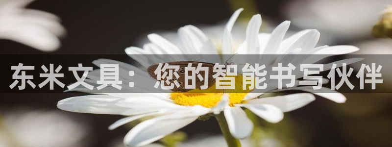 龙八国际App下载地址：东米文具：您的智
