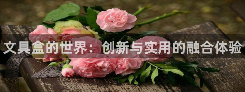 龙八国际：文具盒的世界：创新与实用的融合