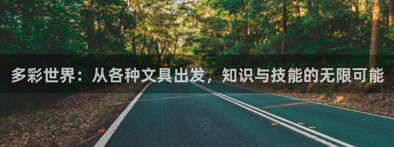 龙八国际官网苹果：多彩世界：从各种文具出