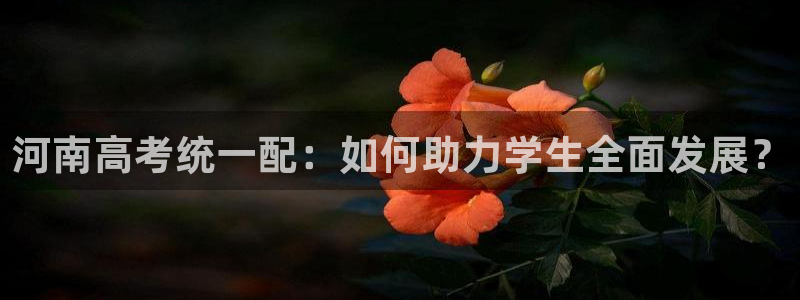 项目名称龙八国际：河南高考统一配：如何助