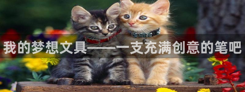 下载龙八国际官网：我的梦想文具——一支充