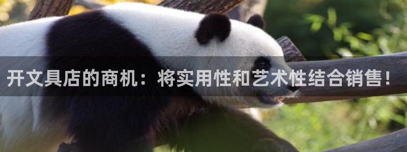 龙八国际登录入口：开文具店的商机：将实用