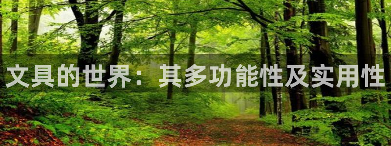 龙八国际官网登录：文具的世界：其多功能性