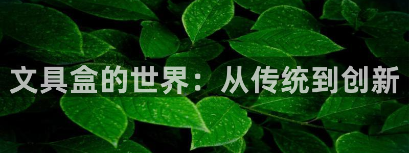 龙八国际是什么：文具盒的世界：从传统到创