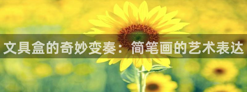 龙八国际娱乐群：文具盒的奇妙变奏：简笔画