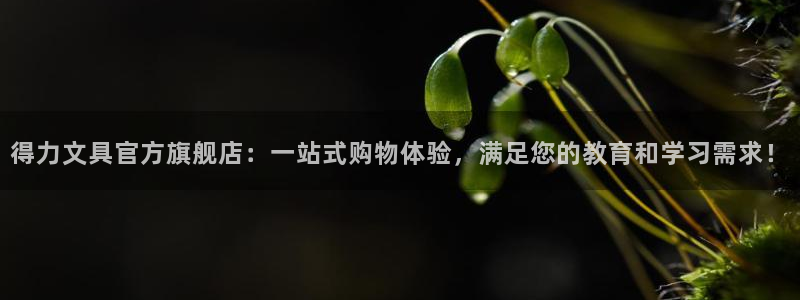 龙八国际app客户端下载不了：得力文具官