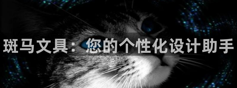 下载龙八国际手机端：斑马文具：您的个性化