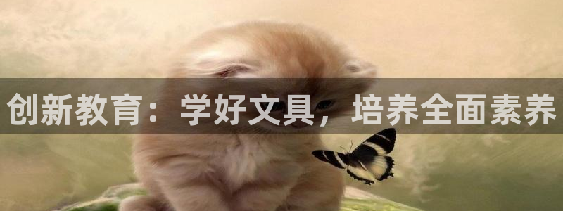 龙八国际手游：创新教育：学好文具，培养全