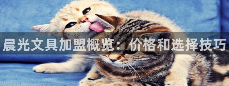 龙八国际登录网：晨光文具加盟概览：价格和