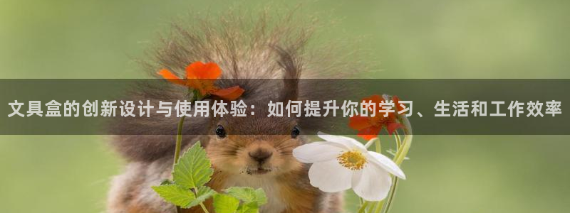龙八国际服：文具盒的创新设计与使用体验：