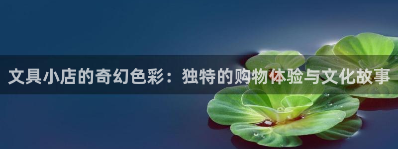 龙八国际娱乐充值：文具小店的奇幻色彩：独