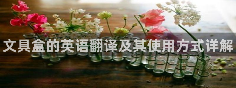 龙八国际菲律宾官网：文具盒的英语翻译及其