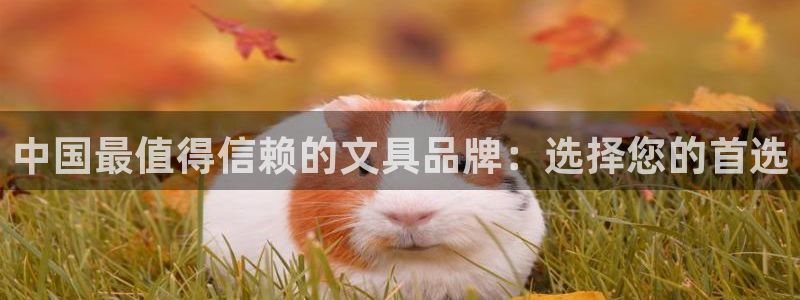 龙八国际官方网：中国最值得信赖的文具品牌