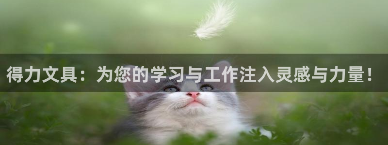 龙八国际娱乐网：得力文具：为您的学习与工