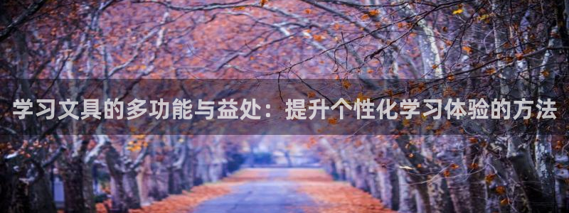龙八国际是不是黑平台：学习文具的多功能与
