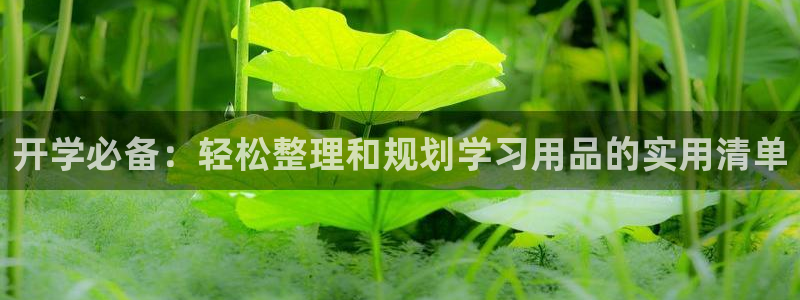 龙八国际手机游戏官网：开学必备：轻松整理