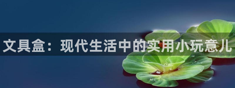 龙八国际b48点tv：文具盒：现代生活中