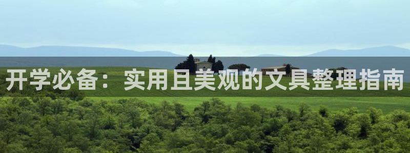 龙八国际管网：开学必备：实用且美观的文具