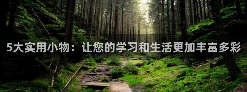 龙八国际手机客户端：5大实用小物：让您的