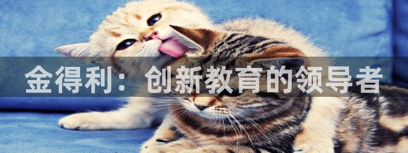 龙八国际官方登录网址：金得利：创新教育的