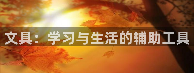 龙八国际app官方下载手机端：文具：学习