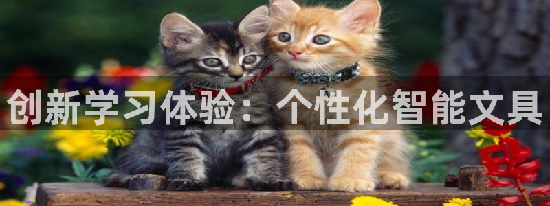 龙八国际合法：创新学习体验：个性化智能文