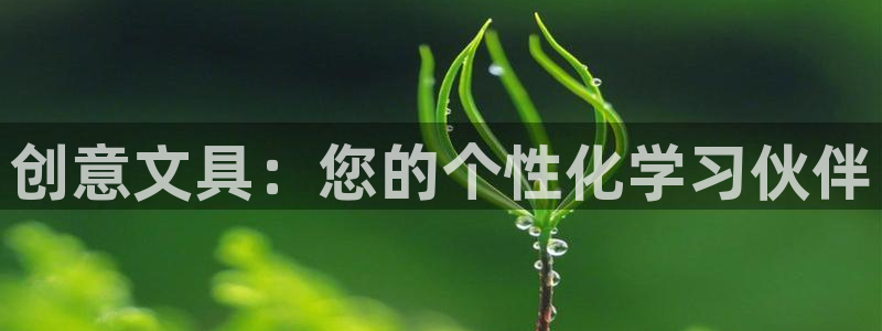 龙八国际官方手游：创意文具：您的个性化学
