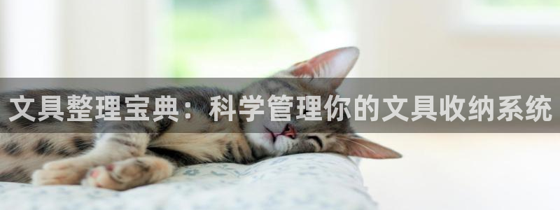 龙 八国际：文具整理宝典：科学管理你的文