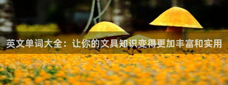 龙八国际app下载官网：英文单词大全：让