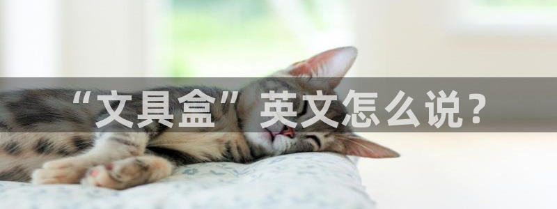 龙八国际服官网入口地址：“文具盒”英文怎