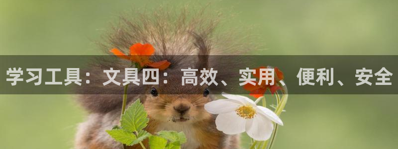 龙八国际官网手机版登录：学习工具：文具四