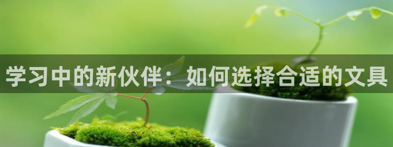 龙八国际兑换码：学习中的新伙伴：如何选择