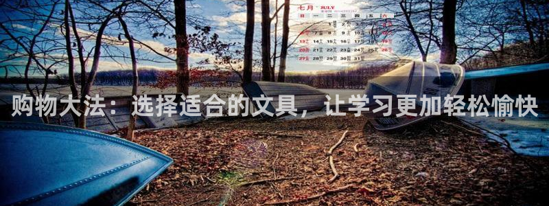龙八国际网页long123：购物大法：选