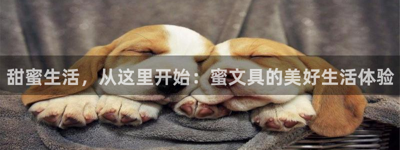 龙八国际怎么注册：甜蜜生活，从这里开始：