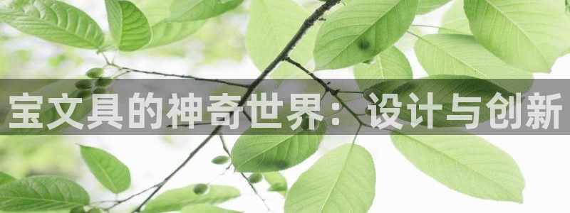 龙八国际彩金购买：宝文具的神奇世界：设计