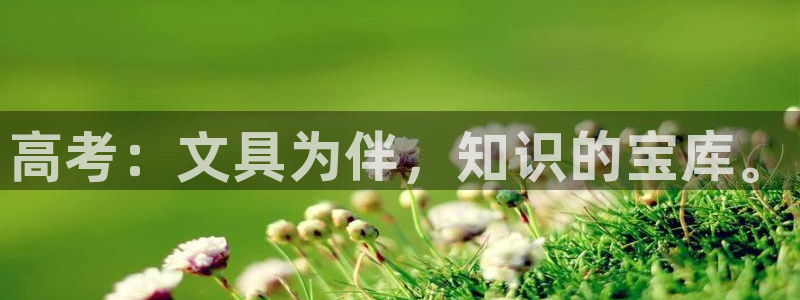 龙八国际娱乐 pt：高考：文具为伴，知识