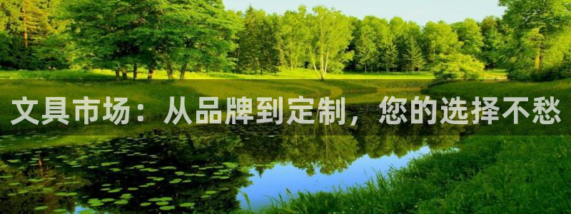 龙八国际app下载苹果：文具市场：从品牌