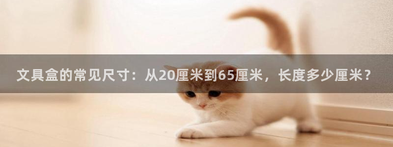 龙八国际网页：文具盒的常见尺寸：从20厘
