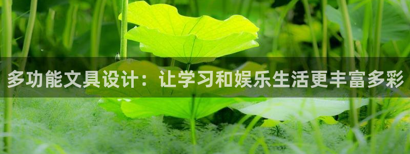 龙八国际安全：多功能文具设计：让学习和娱